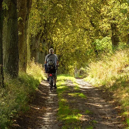 Sealove - Gemuetliches Mit Seeblick Am Malchower Apartment *